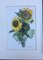 Maria-Therese Tietmeyer, Sunflower Kronberg, Aquarelle 2