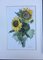 Maria-Therese Tietmeyer, Sunflower Kronberg, Watercolor 2