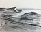 Hellmuth Mueller-Leuter, Seaside Scenery, 1939, ink on Paper 1