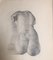 Schieser Becker, ingeborg Städelschüleri, Torso Female, Pencil, Image 2