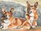 Pembroke, Welsh Corgi, Watercolor, Image 1