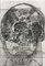 Fassbinder & Rainer Werner, the Skull Metamorphosis, Etchings, Set de 5 4