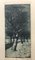 Thiele Hermann 1867-1956, Trees in Winter, Etching, Imagen 2