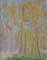 Bourgeois De Wohl, Trees, Green To Yellow, 1914, Media misti, Immagine 1