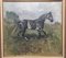 Helene Meyer, 1898-1958, Black Horse Stallion, Oil on Canvas 2