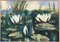Water Lilies, indistinct Illegible Framed Watercolor at Vonderbank 1
