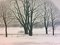 Reinhold Ljunggren, 1920-2006, Winter Landscape, Lithograph, Imagen 7