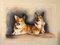 Lournau Pembroke, Welsh Corgi, 1994, Pastellfarben 3