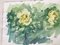 Zach Thomas, Yellow Roses, 1922, Watercolor 1