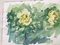 Zach Thomas, Yellow Roses, 1922, Watercolor, Image 1