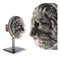 Escultura de cabeza belga en forma de león de terracota, Imagen 2