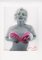 Bert stern "Marilyn Monroe classic Pink roses " 2011 2011 3