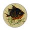 Mid-Century Ceramic Wall Plates with Fish Decor by Puigdemont, Set of 3 7