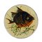 Mid-Century Ceramic Wall Plates with Fish Decor by Puigdemont, Set of 3, Image 7