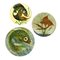 Mid-Century Ceramic Wall Plates with Fish Decor by Puigdemont, Set of 3 1