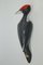 Czech Porcelain Woodpecker from Royal Dux, 1960s, Image 6