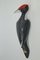 Tschechischer Porzellan Woodpecker von Royal Dux, 1960er 6