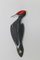 Czech Porcelain Woodpecker from Royal Dux, 1960s 4