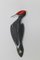 Tschechischer Porzellan Woodpecker von Royal Dux, 1960er 4