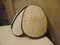 Vintage Sconce, 1970s, Image 2