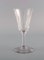 Glasses in Mouth Blown Crystal Glass from St. Louis, Belgium, 1930s, Set of 13, Image 2