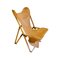 Tripolina Lounge Chair by Vittoriano Viganò for Paolo Viganò, 1950s, Image 4