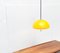 Space Age Cabras Pendant Lamp by Luigi Massoni for Guzzini 14