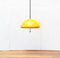 Space Age Cabras Pendant Lamp by Luigi Massoni for Guzzini 12