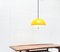 Space Age Cabras Pendant Lamp by Luigi Massoni for Guzzini 15