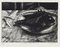 Piero Cesaroni, the Scorpionfish without the Glass, 1994, Original Etching, Image 1