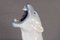 Danish Porcelain Polar Bear by C. F. Liisberg for Royal Copenhagen, 1970s, Image 7