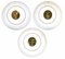 Earth Signs Zodiac Plates by Piero Fornasetti, 1965, Set of 3 3