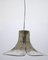 Mid-Century Smoked Glass Gingko Leaf Lamp by J.T. Kalmar for Franken KG 1