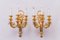 Big Gilded Sconces, 1890s, Set of 2, Image 3