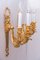 Applique grandi dorate, fine XIX secolo, set di 2, Immagine 10