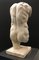 Skulptur eines neoklassizistischen Torso aus weißem Marmor, frühes 20. Jahrhundert 5