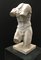 Sculpture of a Neoclassical Torso in White Statuary Marble, Early 20th Century 2