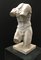 Sculpture of a Neoclassical Torso in White Statuary Marble, Early 20th Century, Image 2