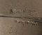 Secchiello per mosche placcato in argento, Francia, anni '70, Immagine 8