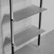 Enrica Bookshelf Natural Silver by Federico Peri, Image 7