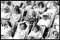 Kiosque Bandstand, Eastbourne - Photographie Noir et Blanc Triptyque 1985 4