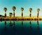 Zzyzx Resort Pool Ii, Soda Dry Lake, California - Palm Print Color Photography 2002, Image 1
