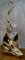 Viktorianischer Fox Kopf und Peitsche Türstopper aus Messing 4