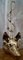 Viktorianischer Fox Kopf und Peitsche Türstopper aus Messing 9
