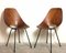 Plywood Dining Chairs by Vittorio Nobili for Fratelli Tagliabue, 1950s, Set of 2, Image 6