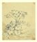 Jan Pieter Verdussen - Flowers - Original China Ink Drawing by Jan Pieter Verdussen - 1740 1