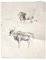 Wilhelm Lorenz - Gnu and Lion - Original Pencil On Paper by Wilhelm Lorenz - Mid-20th Century 1