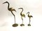 Large Vintage Brass Crane Birds, 1970s, Set of 3 6