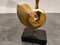 Vintage Brass Nautilus Shell Table Lamp, 1970s, Image 5