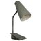 Grey Model Pinocchio Table or Wall Lamp by H. Busquetand and Hala Zeist, 1950s 1
